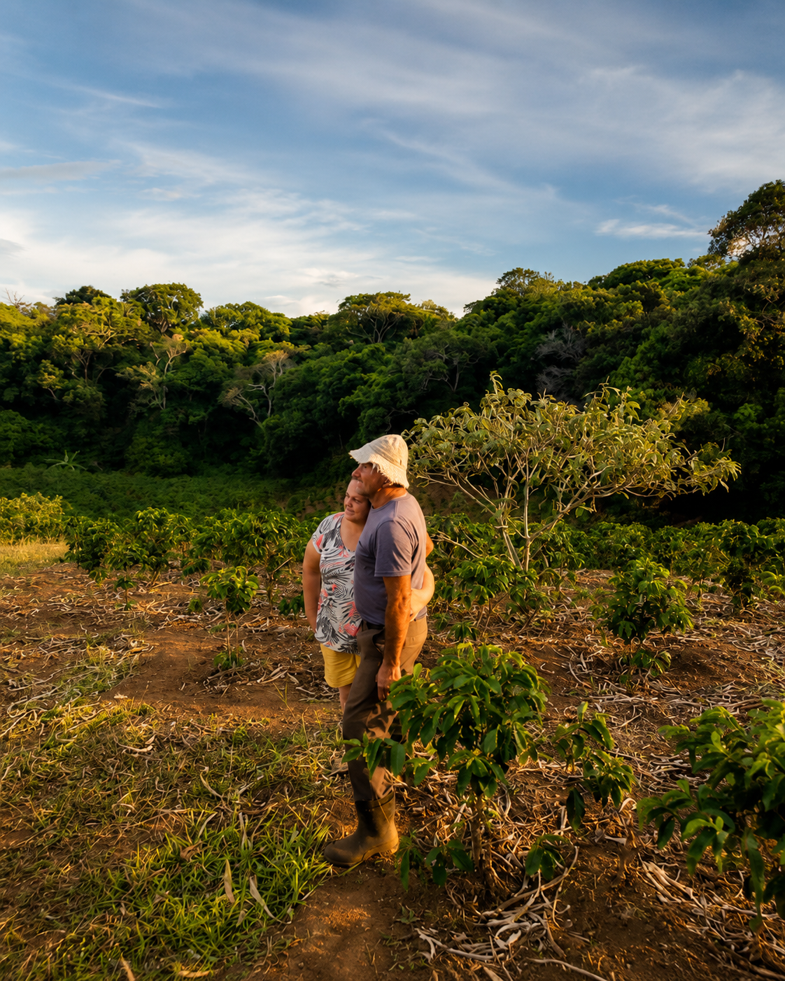 Tres personas junto a los cafetos en la finca